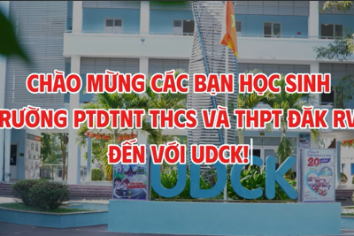 Hoạt động trải nghiệm, hướng nghiệp học sinh lớp 12 năm học 2025-2026